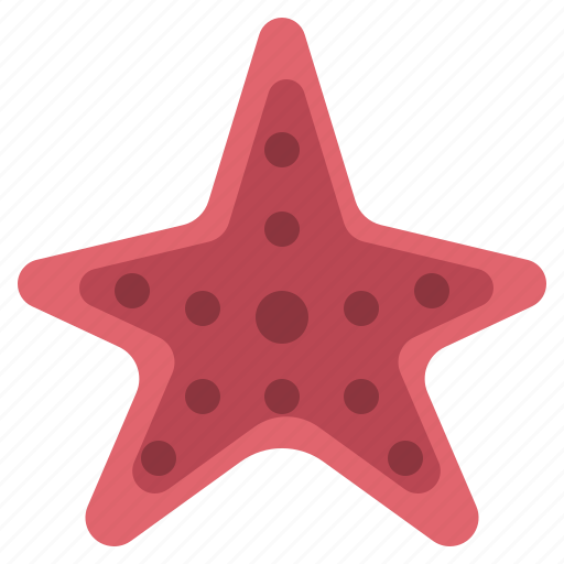 Starfish, ocean, animal, sea, life, aquatic icon - Download on Iconfinder