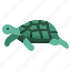 turtle, tortoise, amphibian, reptile, pet 