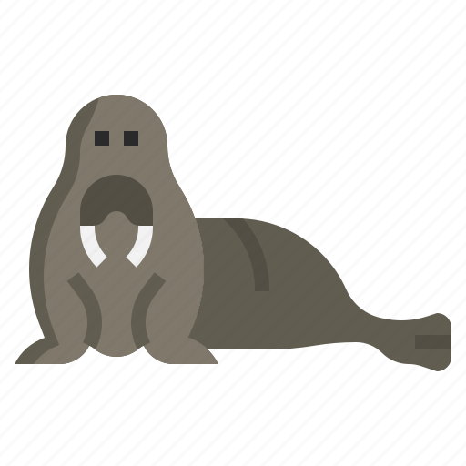 Walrus, animal, zoo, wild, life, kingdom icon - Download on Iconfinder
