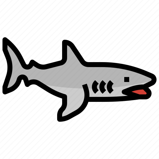 Shark, animal, aquarium, sea, life, aquatic icon - Download on Iconfinder