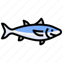 tuna, fish, animal, healthy, food, wildlife