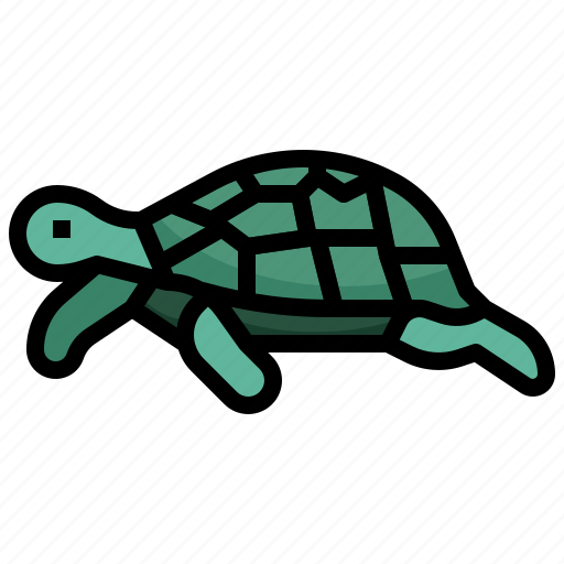 Turtle, tortoise, amphibian, reptile, pet icon - Download on Iconfinder