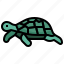 turtle, tortoise, amphibian, reptile, pet 