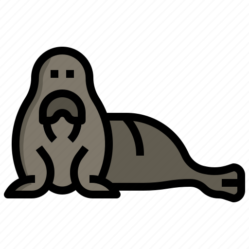 Walrus, animal, zoo, wild, life, kingdom icon - Download on Iconfinder