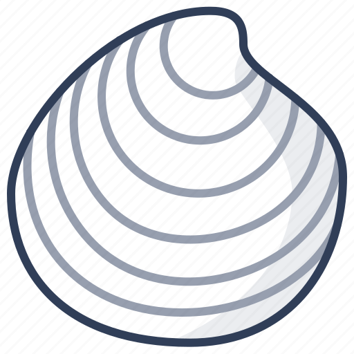 Dosinia, shell, sea, seashell, marine icon - Download on Iconfinder