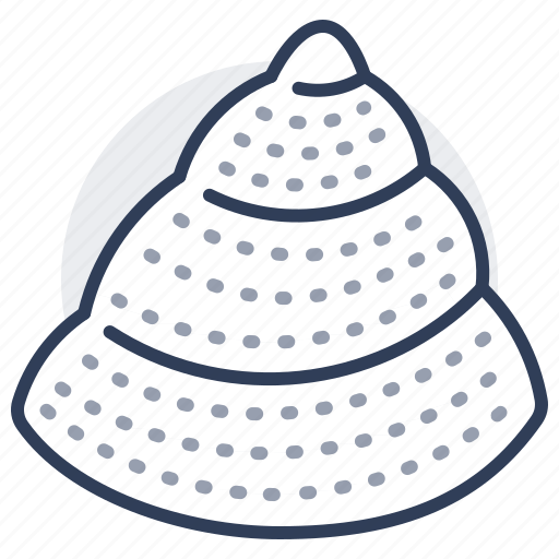 Tampa, top, snail, sea, seashell, marine icon - Download on Iconfinder