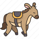 donkey, riding, animal, tourism, relax