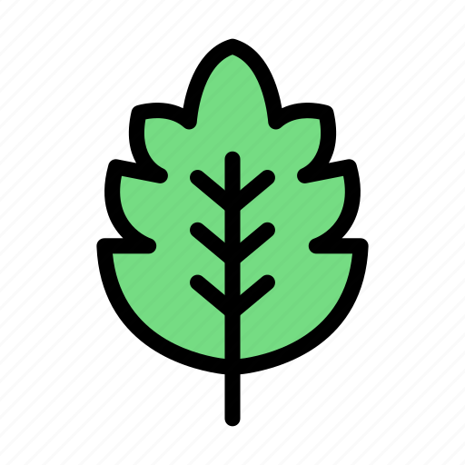 Leaf, autumn, season, nature, leaves icon - Download on Iconfinder