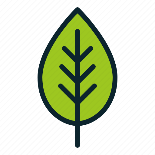 Autumn, ecology, environment, fall, leaf, plant, spring icon - Download on Iconfinder