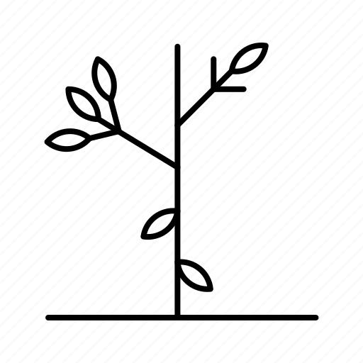 Branches, plant, leaves, nature icon - Download on Iconfinder