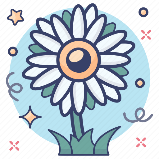 Agriculture, daisy flower, flower, floweret, spring blossom, spring flowers icon - Download on Iconfinder