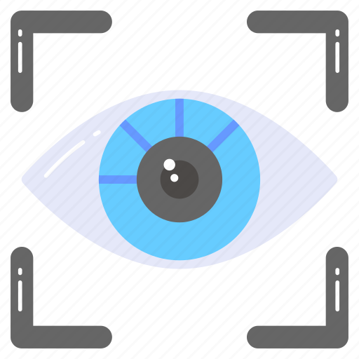 Retina, scan, eye, iris, biometric, scanning, recognition icon - Download on Iconfinder