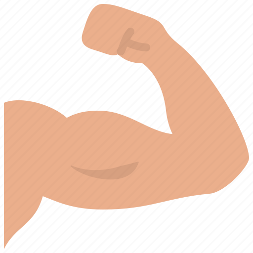 Muscle, arm, bodybuilding, gym, fitness, weight, training icon - Download on Iconfinder