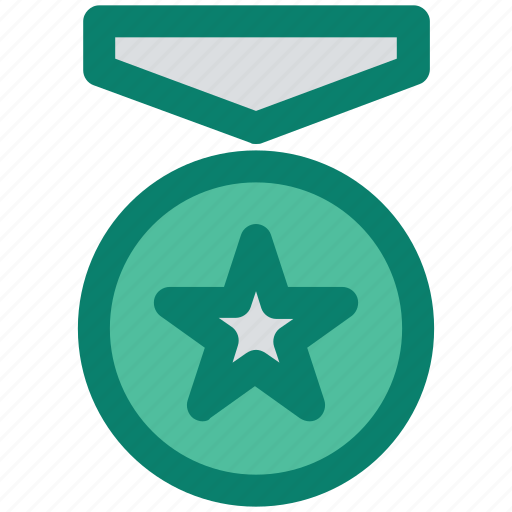 Achievement, award, favorite, medal, prize, star, winner icon - Download on Iconfinder