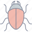 bug, insect, virus, beetle 