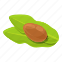 leaf, shea, tree, green, nut
