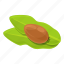 leaf, shea, tree, green, nut 