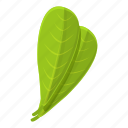 shea, tree, leaf, butter