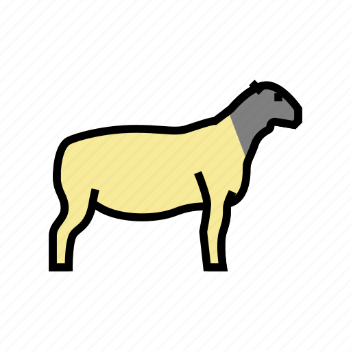 Dorper, sheep, breeding, farm, business, food icon - Download on Iconfinder