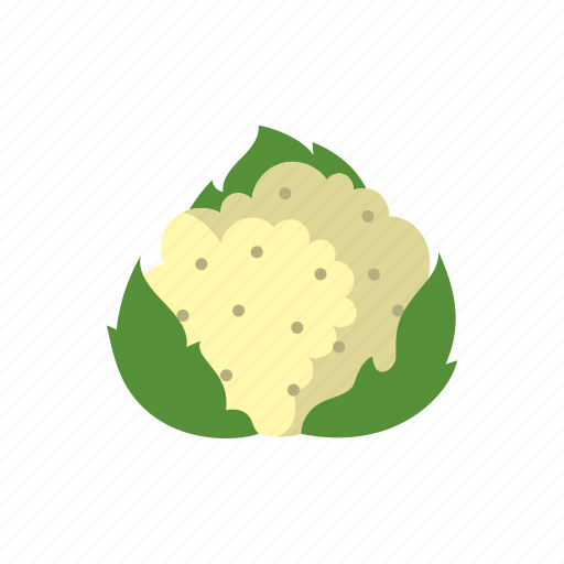 Cauliflower, cook, dish, food, kitchen, vegetable, veggie icon - Download on Iconfinder