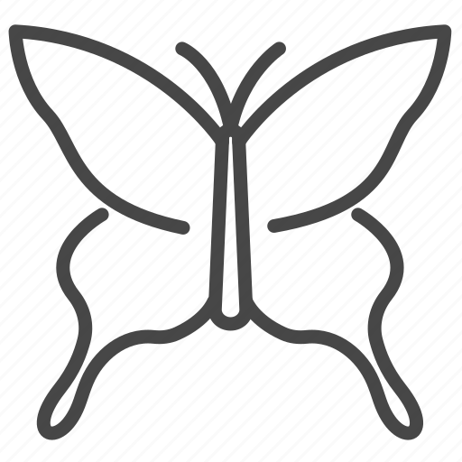 Butterfly, garden, insect, park, singapore icon - Download on Iconfinder