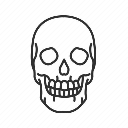Cranial bones, cranium, halloween, human skull, skeletal system, skull, temporal bones icon - Download on Iconfinder