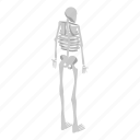 back, cartoon, human, isometric, medical, skeleton, woman
