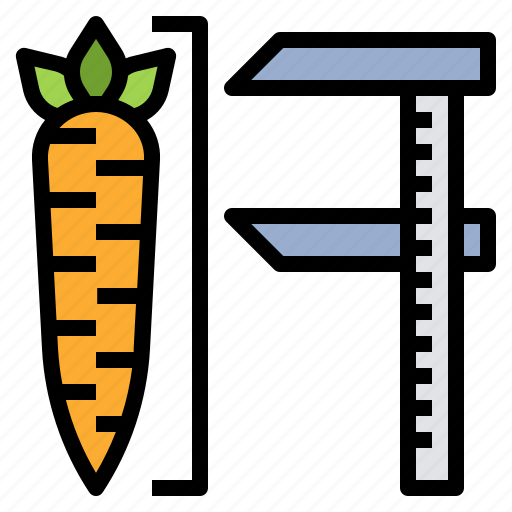 Measurement, size, scale, standard, carrot icon - Download on Iconfinder