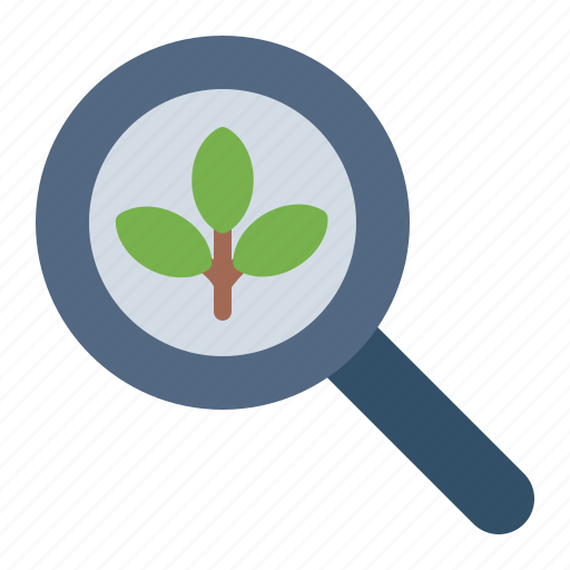 Search, plant, tree, farm, farming, agriculture, gardening icon - Download on Iconfinder