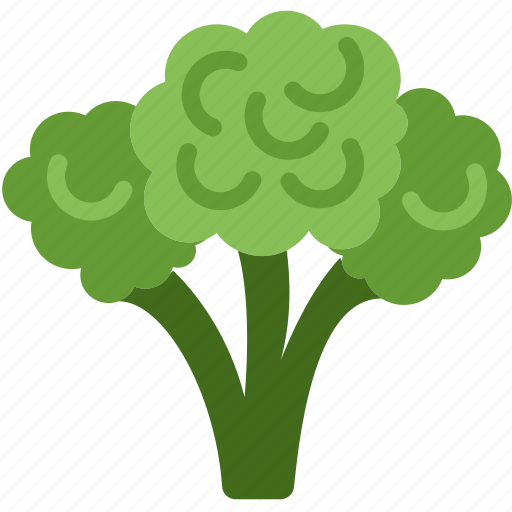 Broccoli, cooking, food, gastronomy icon - Download on Iconfinder