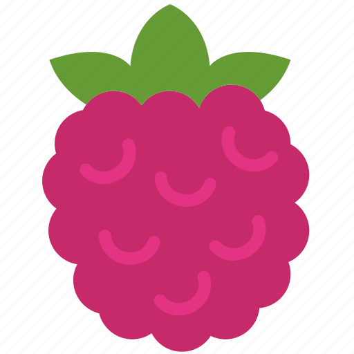 Cooking, food, gastronomy, raspberry icon - Download on Iconfinder