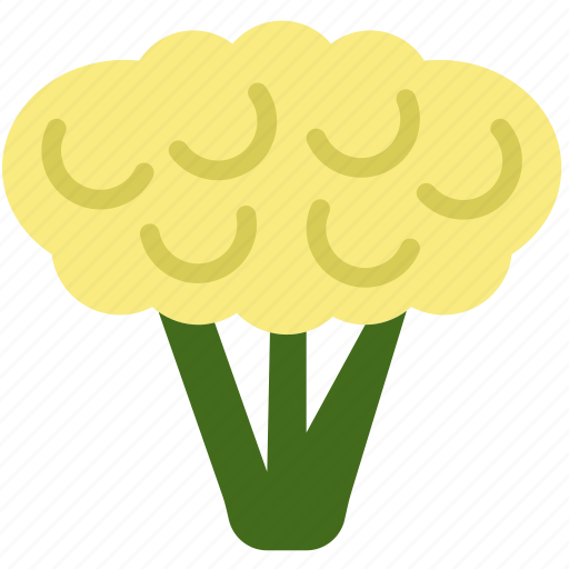 Cauliflower, cooking, food, gastronomy icon - Download on Iconfinder