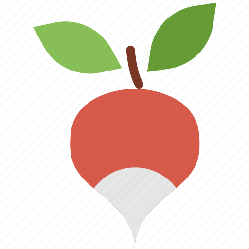 Cooking, food, gastronomy, radish icon - Download on Iconfinder