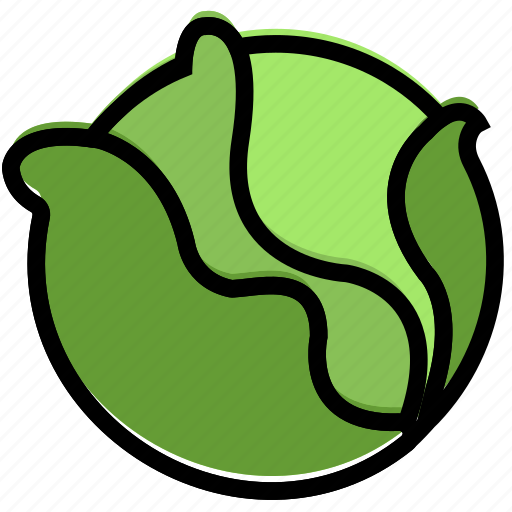 Cabbage, cooking, food, gastronomy icon - Download on Iconfinder