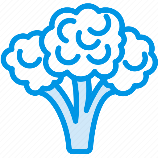 Broccoli, cooking, food, gastronomy icon - Download on Iconfinder