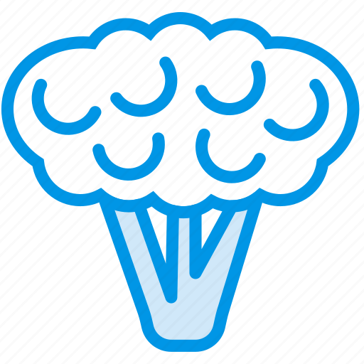 Cauliflower, cooking, food, gastronomy icon - Download on Iconfinder