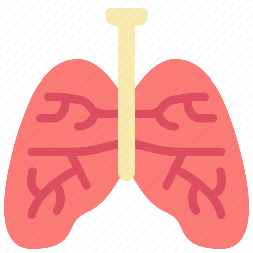 Health, lungs, organs, smoking, vaping icon - Download on Iconfinder
