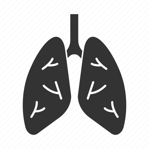 Anatomy, body, breath, human, lung, organ, respiratory icon - Download on Iconfinder