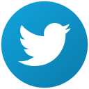 bird, social, tweet, twitter