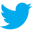 twitter, bird, social media, tweet 