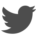 bird, flying, media, social, tweet, twitter