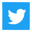 media, network, social, social media, tweet, twitter, twitter bird 