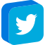 bird, media, network, social, twitter 