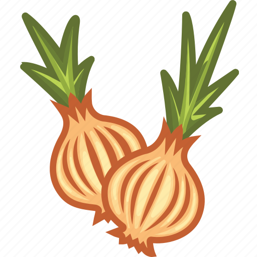 Onion, onion salad, vegetables icon icon - Download on Iconfinder