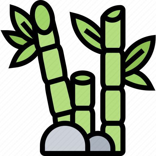 Bamboo, garden, nature, freshness, environment icon - Download on Iconfinder