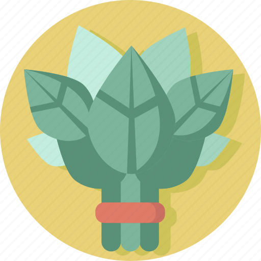 Bouquet, floral, green, leaf, plant, sauna, spa icon - Download on Iconfinder