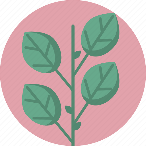 Decorative, green, leaf, nature, plant, sauna, spa icon - Download on Iconfinder