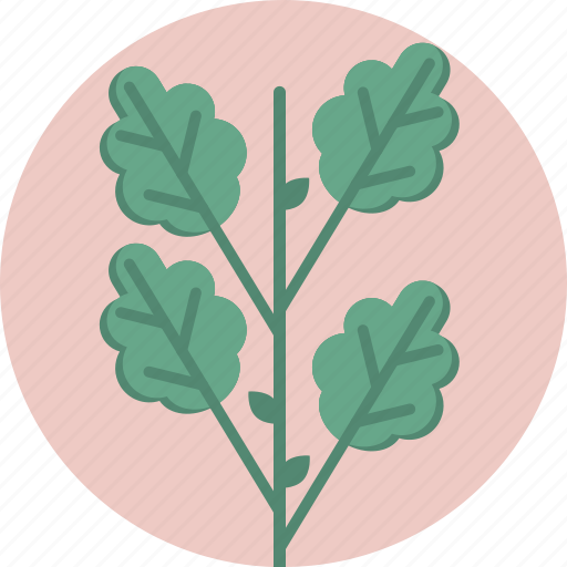 Decorative, green, leaf, nature, plant, sauna, spa icon - Download on Iconfinder