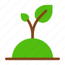 sprout, plant, nature, tree, ecology, environment, eco, leaf