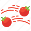 la, tomatina 